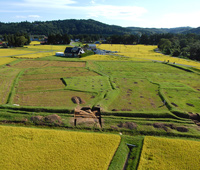 柳之御所・平泉遺跡群