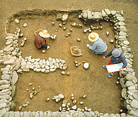 仙台郡山官衙遺跡群　郡山官衙遺跡郡山廃寺跡