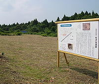 杉沢台遺跡