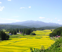 骨寺村荘園遺跡