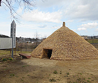 飯野白山住居跡