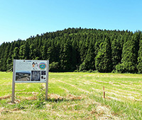 小山崎遺跡