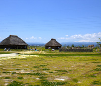 西沼田遺跡