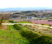 阿津賀志山防塁