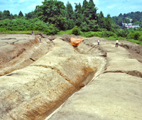 大鳥井山遺跡