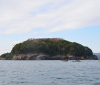 椿島暖地性植物群落